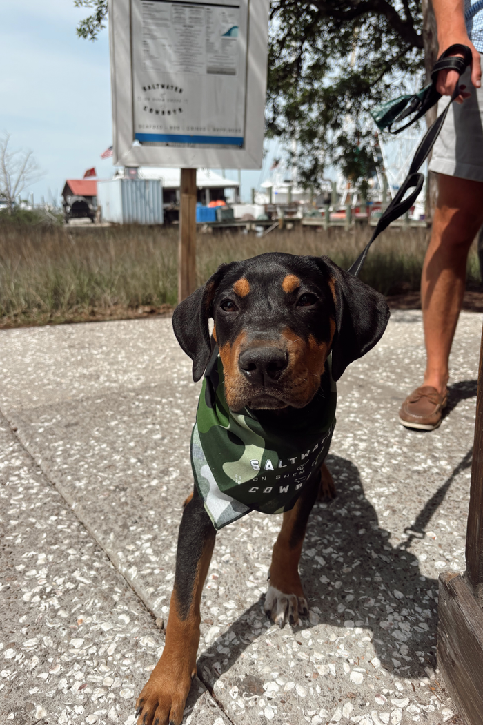 CAMO BANDANA