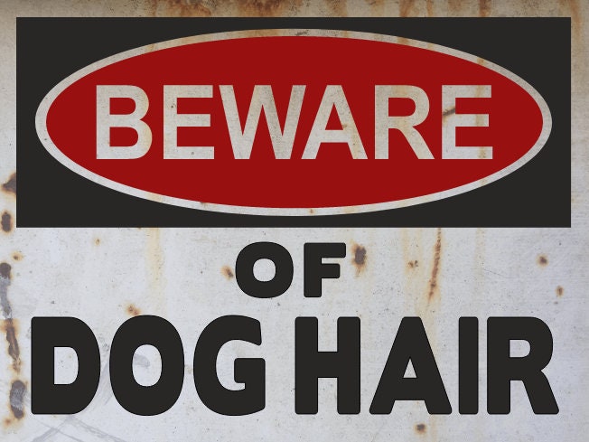 dog hair