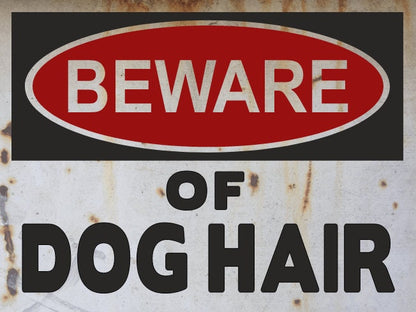 dog hair