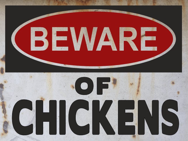 chickens