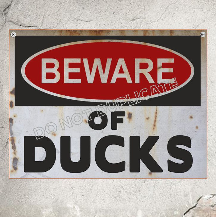 ducks