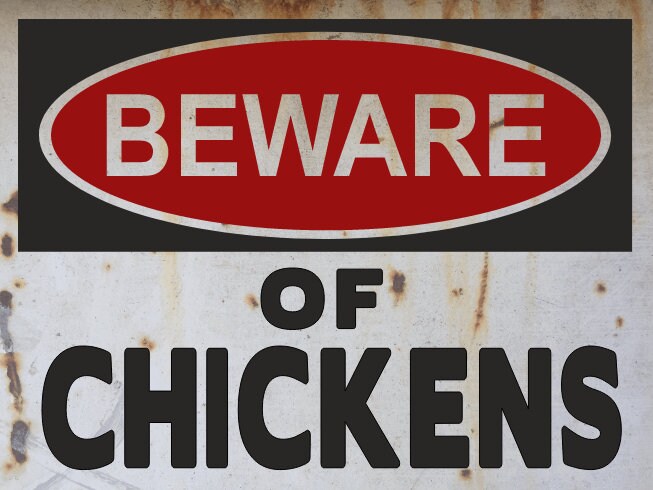 chickens