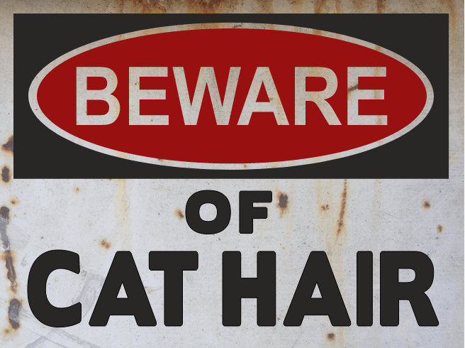 cat hair