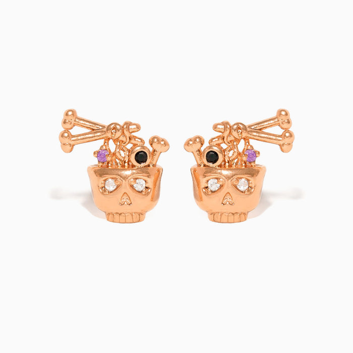 Bone Broth Ramen Studs