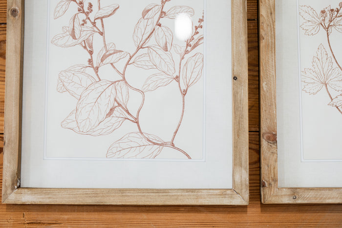 Botanicals in Blush Print