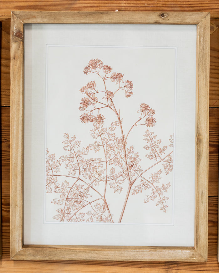 Botanicals in Blush Print