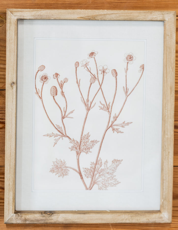 Botanicals in Blush Print