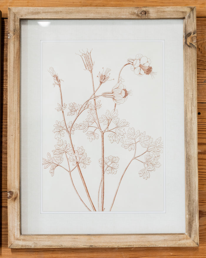 Botanicals in Blush Print