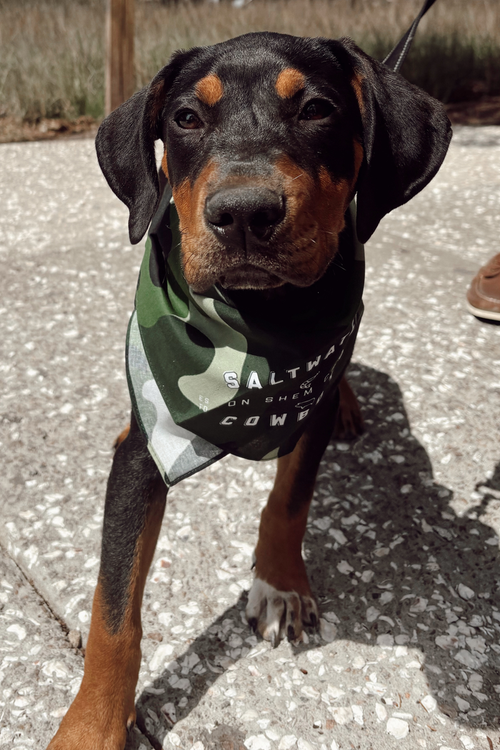 CAMO BANDANA