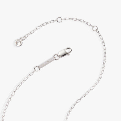 Capricorn Zodiac Precious Necklace