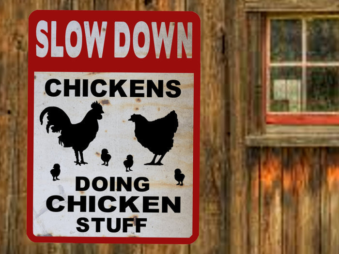 chickcen coop sign backyard chickens farmhouse decor