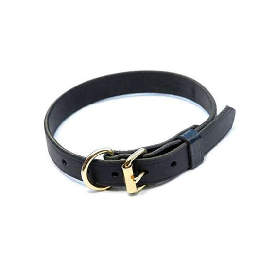 Dog Collar 3.2 x 65cm