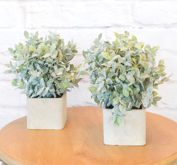 Faux Sage in Square Cement Pot