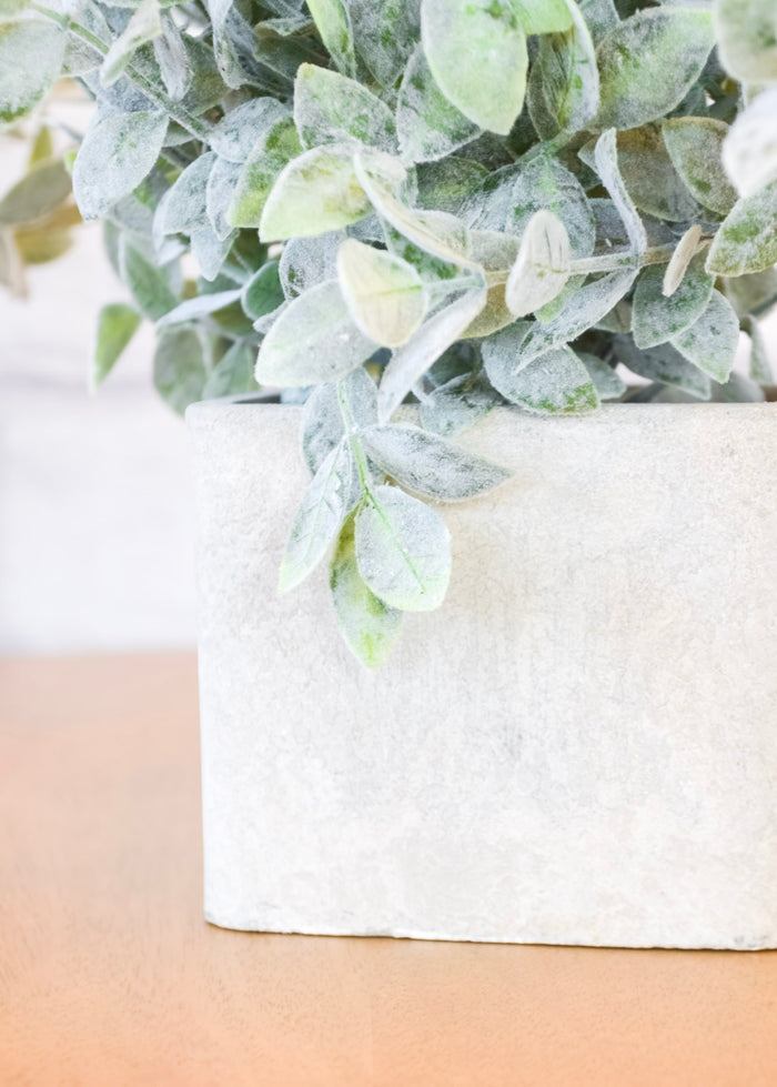 Faux Sage in Square Cement Pot