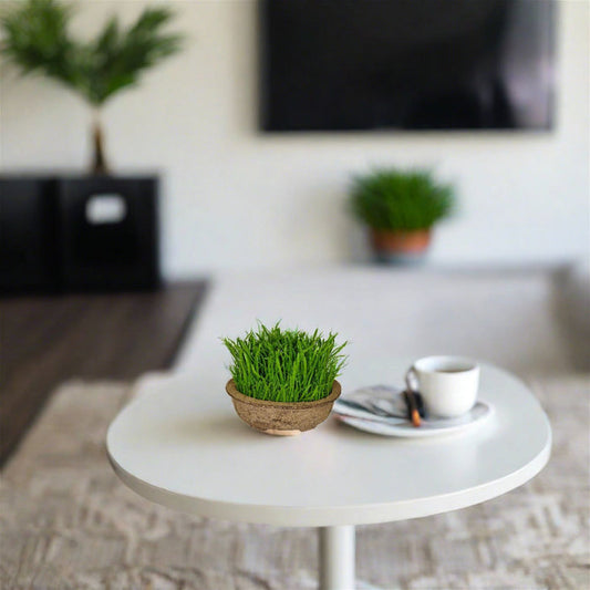 Green Pot Plant 19cm Artificial Plant by Criterion -Home Living Store - -
