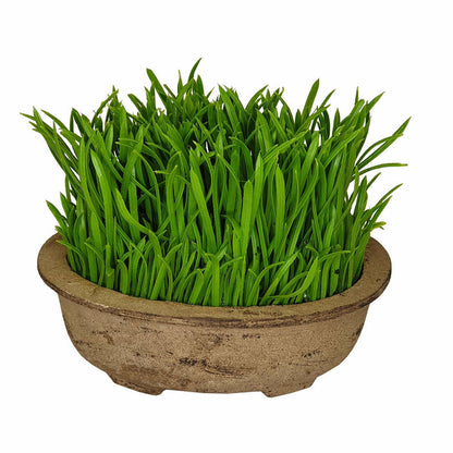 Green Pot Plant 19cm Artificial Plant by Criterion -Home Living Store - -