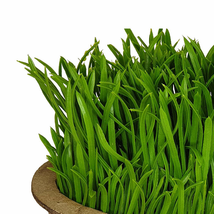 Green Pot Plant 19cm Artificial Plant by Criterion -Home Living Store - -