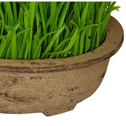 Green Pot Plant 19cm Artificial Plant by Criterion -Home Living Store - -