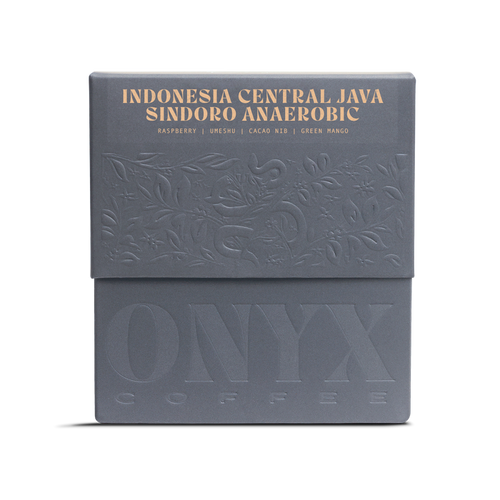 Indonesia Central Java Sindoro Anaerobic