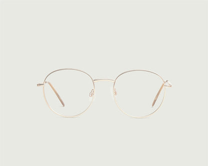Skin::Jett Anti-Radiation Glasses round gold metal front (6627767025718)