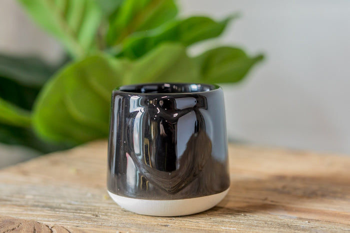 Kind Hearted Pot