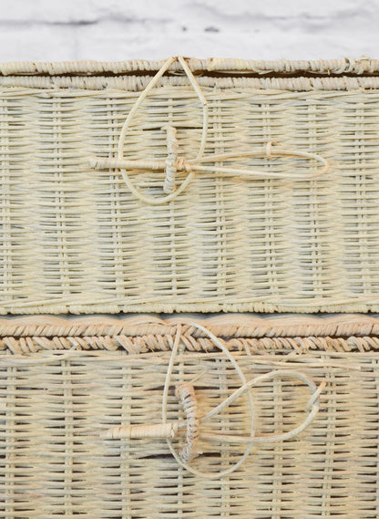 Lidded Rattan Storage Box w/ Closure