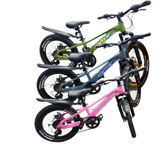 Mountain Bike-20in/BMX