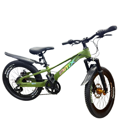 Mountain Bike-20in/BMX