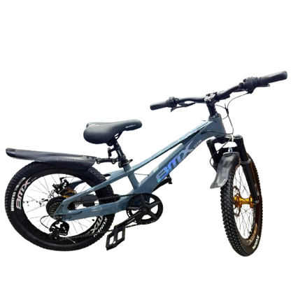 Mountain Bike-20in/BMX