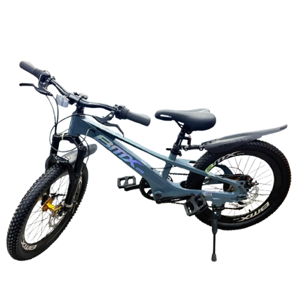 Mountain Bike-20in/BMX