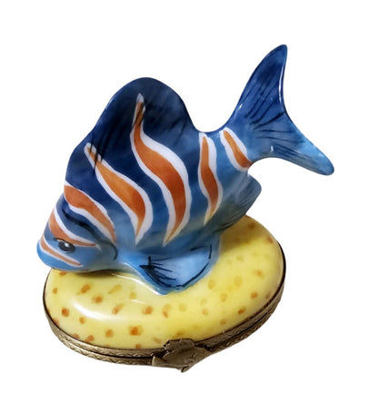 Blue Fish With Orange Stripes Porcelain Limoges Ocean beach fish French Trinket Box