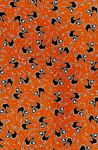 SCAREDY CAT ORANGE 12554-28