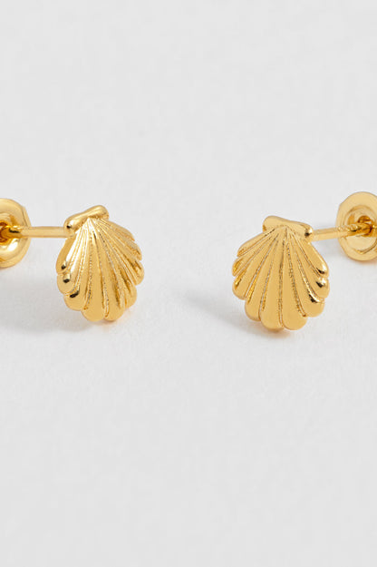 Seashell Stud Earrings