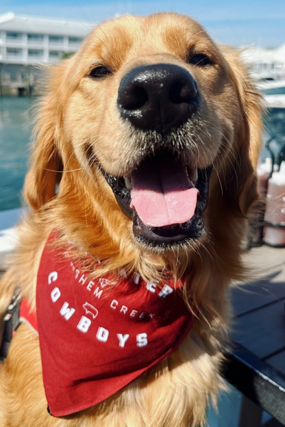 SWC RED DOG BANDANA