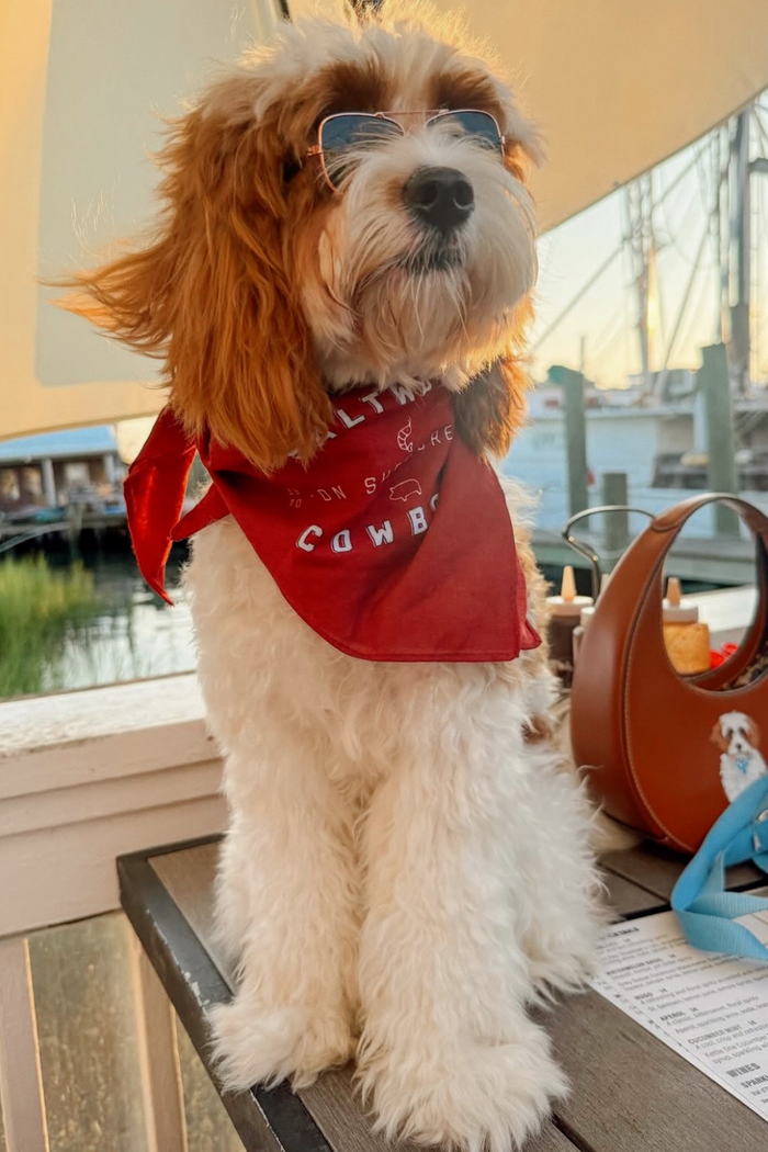 SWC RED DOG BANDANA