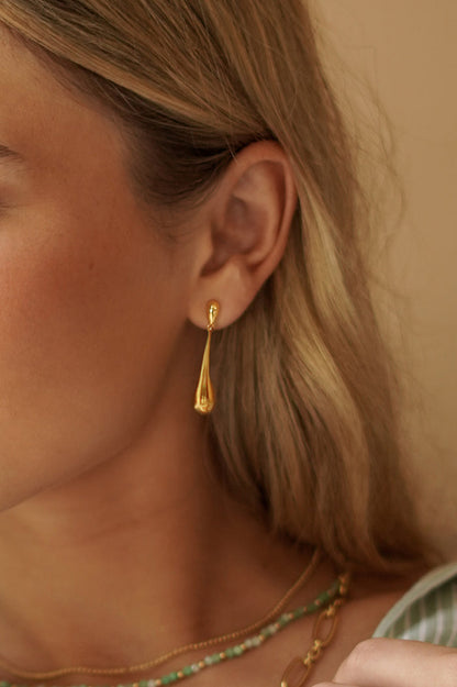 Teardrop Drop Earrings