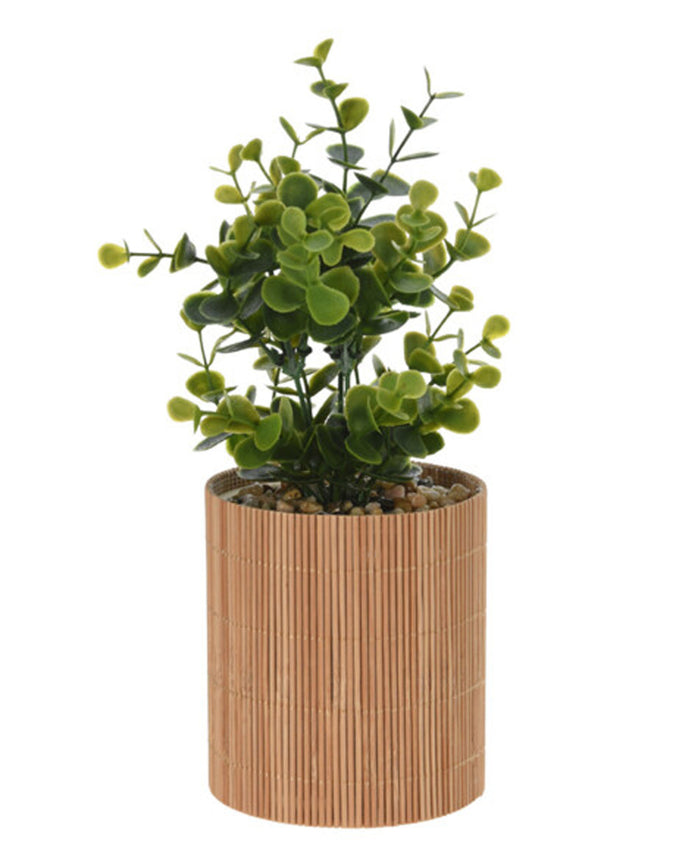 Urban Decor 26cm Plant In Bamboo Pot - Brown