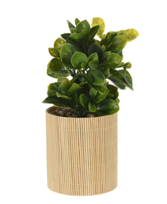 Urban Decor 26cm Plant In Bamboo Pot - Oak