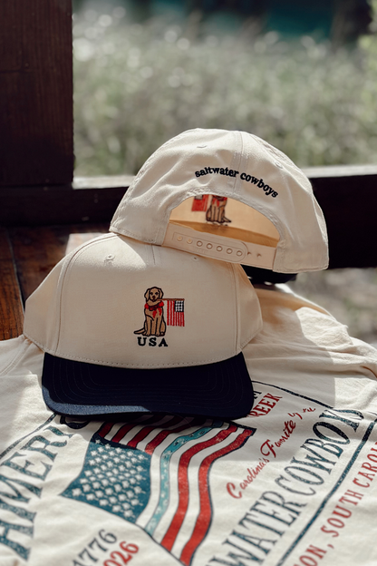 USA DOG HAT
