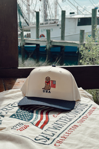 USA DOG HAT
