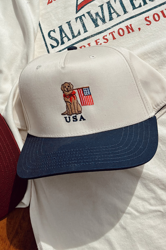 USA DOG HAT