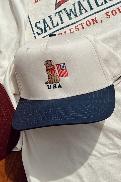 USA DOG HAT
