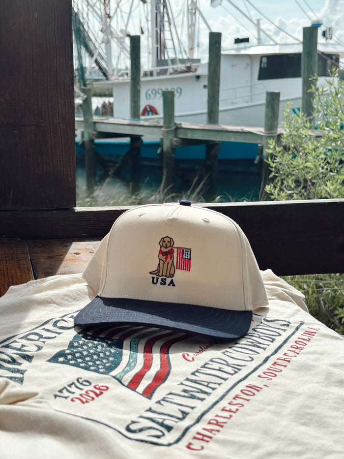 USA DOG HAT