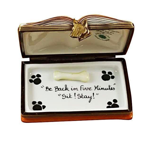 Veterinarian Book Porcelain Limoges book professional French Trinket Box