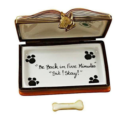 Veterinarian Book Porcelain Limoges book professional French Trinket Box